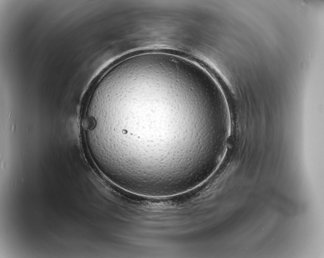 X0000094061460200710261215