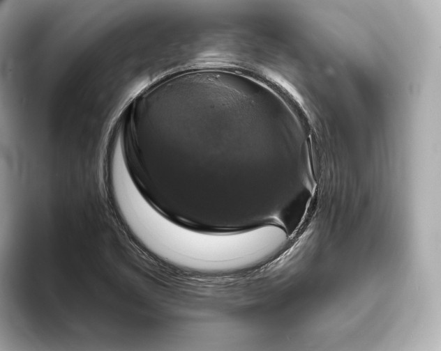 X0000094061461200710261215