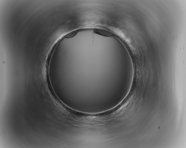 X0000094061463200710261215