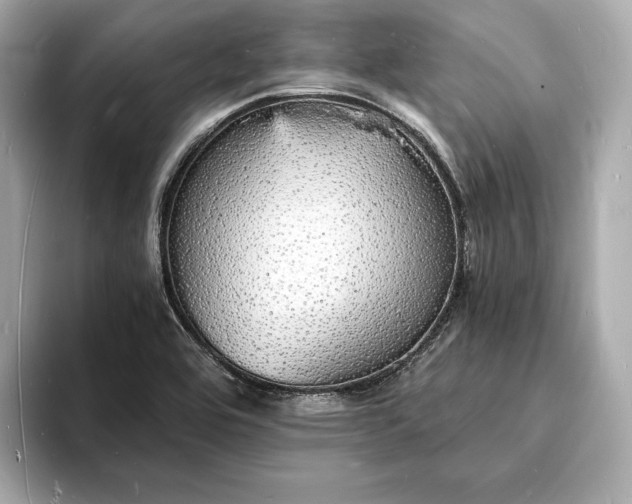 X0000094061464200710261215