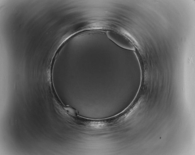 X0000094061465200710261215