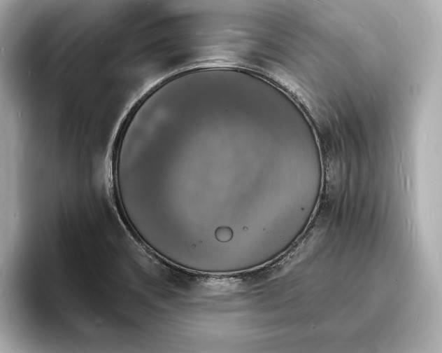 X0000094061466200710261215