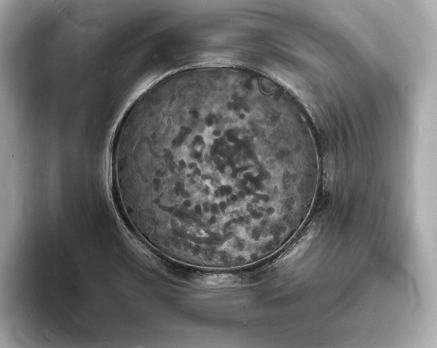 X0000094061467200710261215