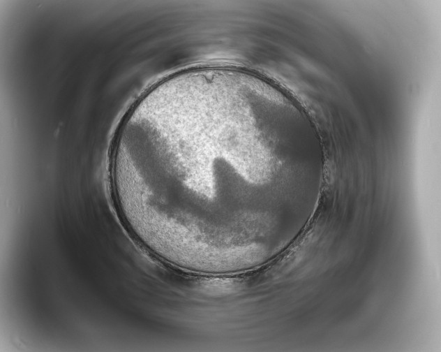 X0000094061470200710261215