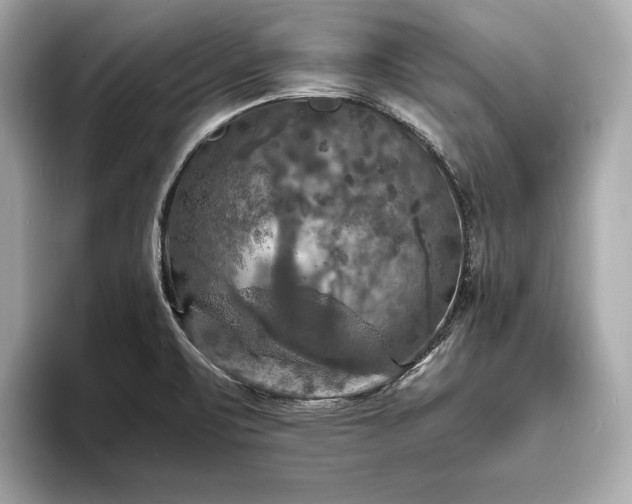 X0000094061471200710261215