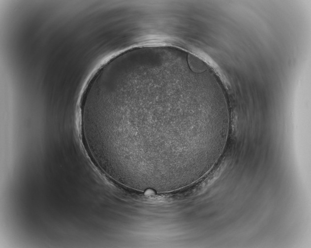 X0000094061472200710261215