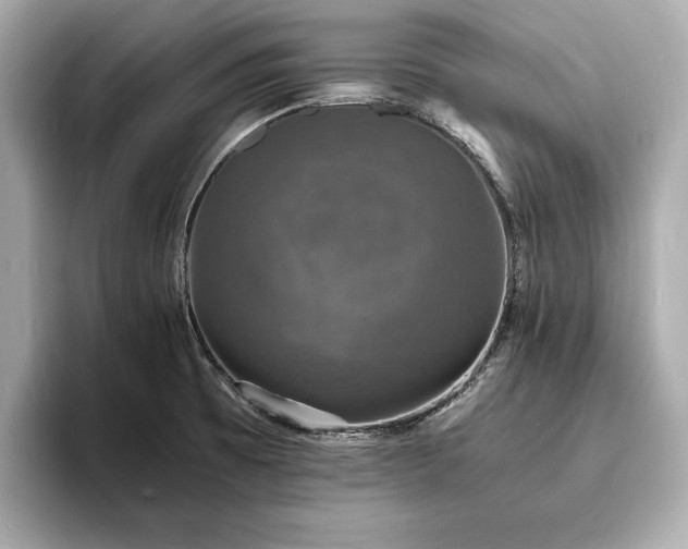 X0000094061473200710261215