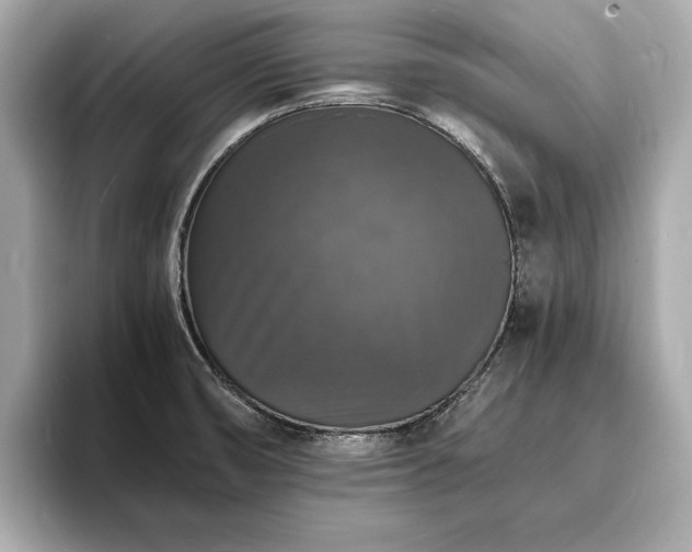 X0000094061474200710261215