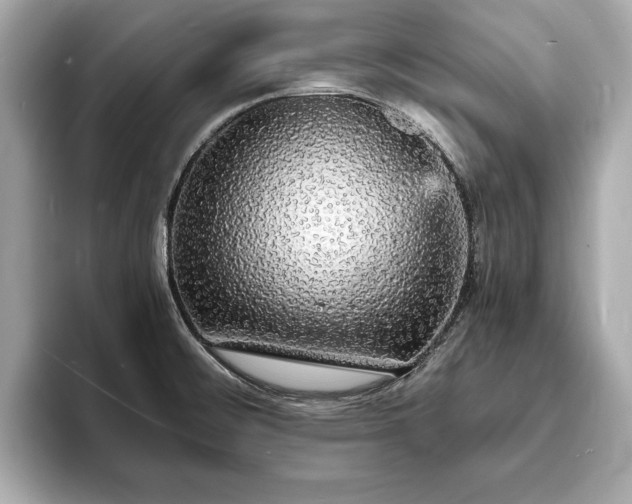 X0000094061476200710261215
