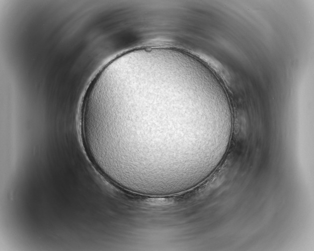 X0000094061478200710261215
