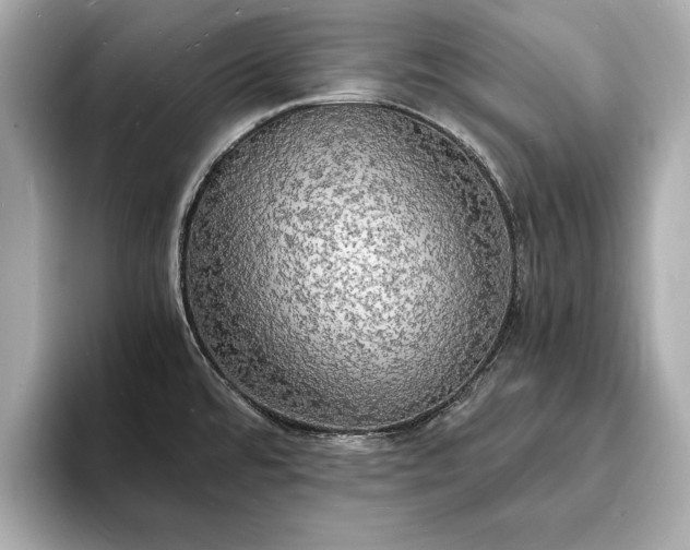 X0000094061480200710261215