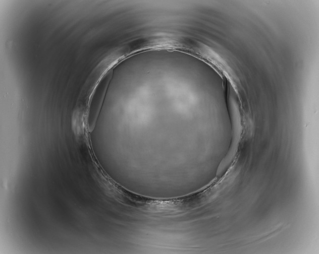 X0000094061481200710261215