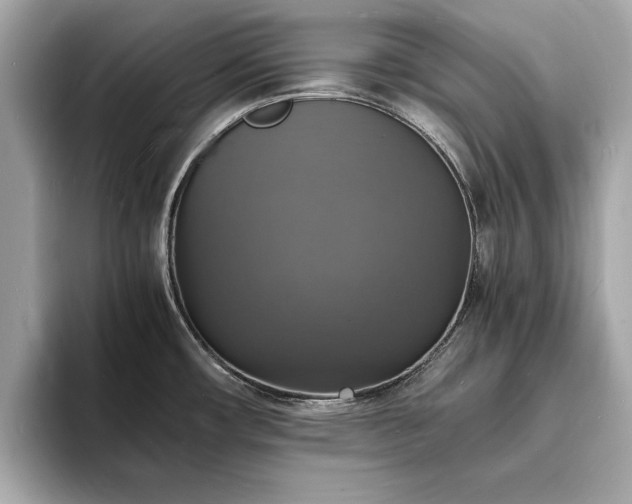 X0000094061482200710261215