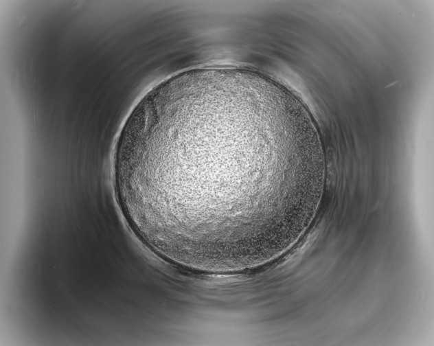 X0000094061483200710261215
