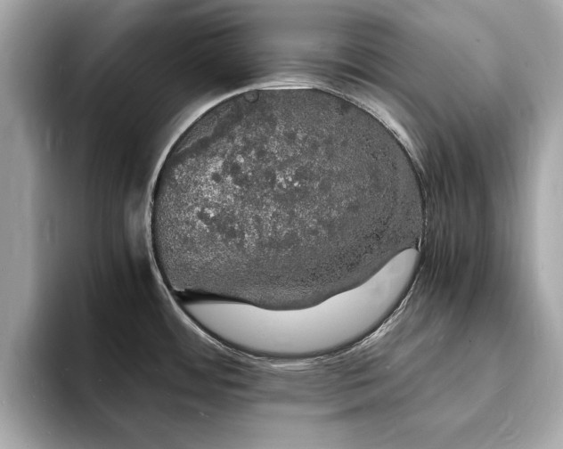 X0000094061484200710261215