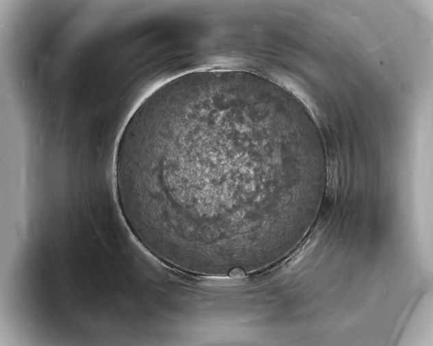 X0000094061487200710261215