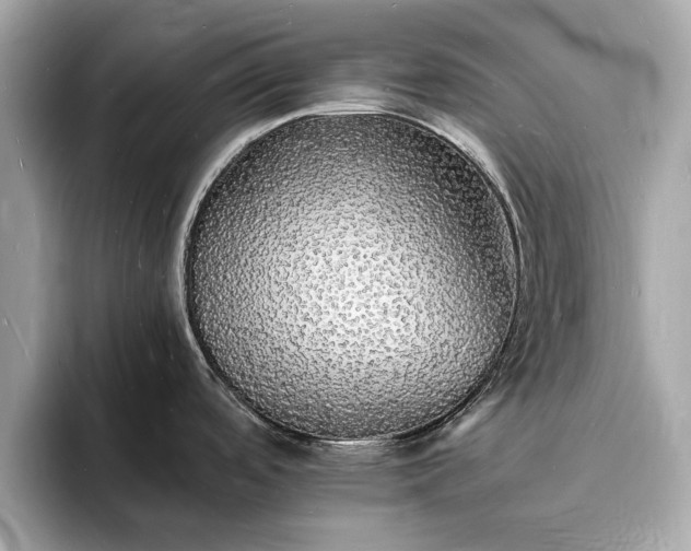 X0000094061488200710261215