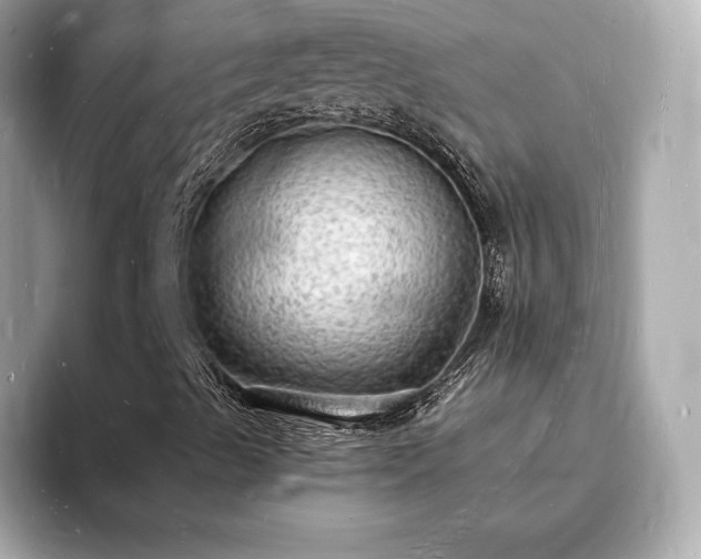 X0000094061489200710261214