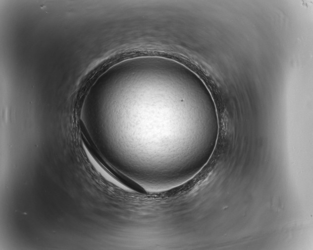 X0000094061494200710261214