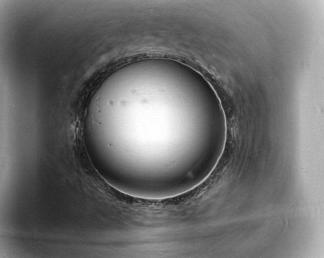 X0000094061495200710261214