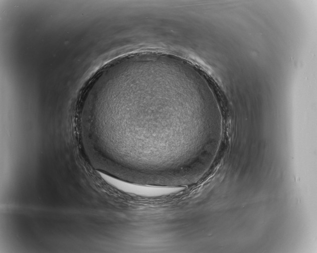 X0000094061496200710261214