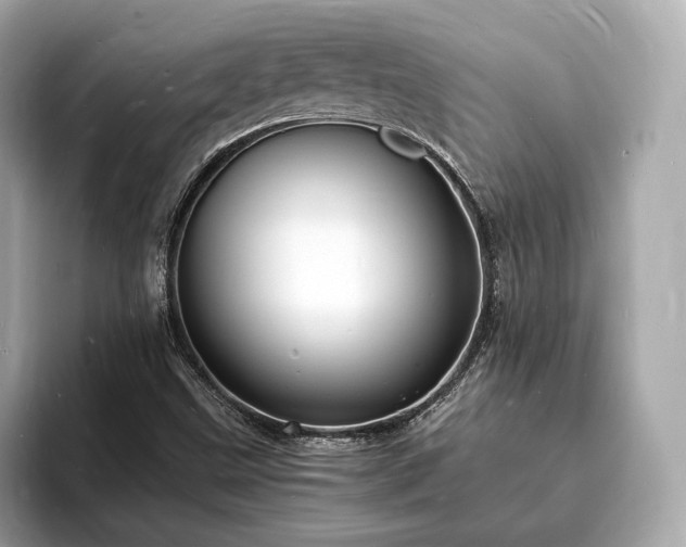 X0000094061499200710261214