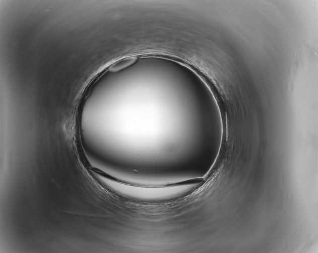 X0000094061500200710261215
