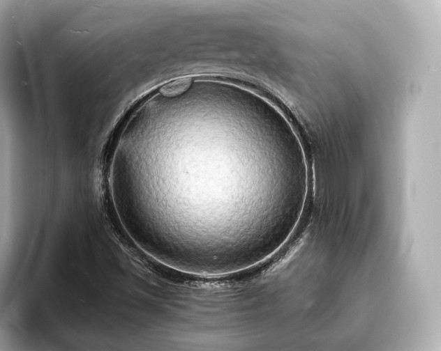 X0000094061501200710261215