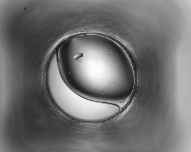 X0000094061502200710261215