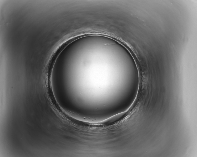X0000094061503200710261215