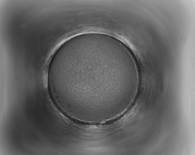 X0000094061504200710261215