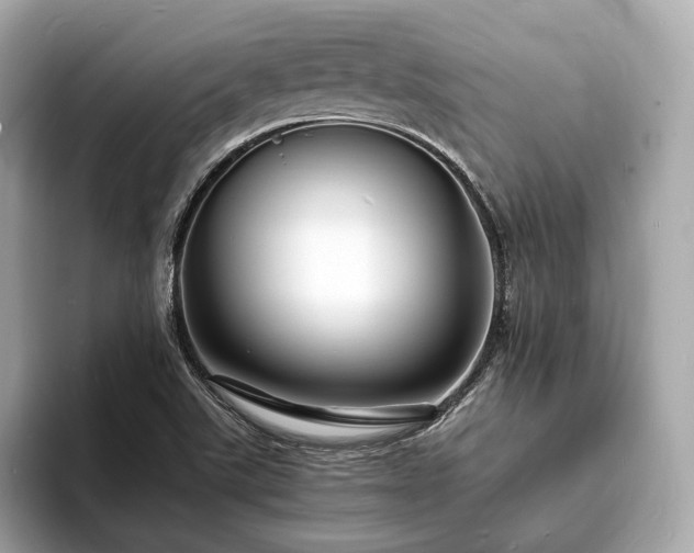 X0000094061507200710261215