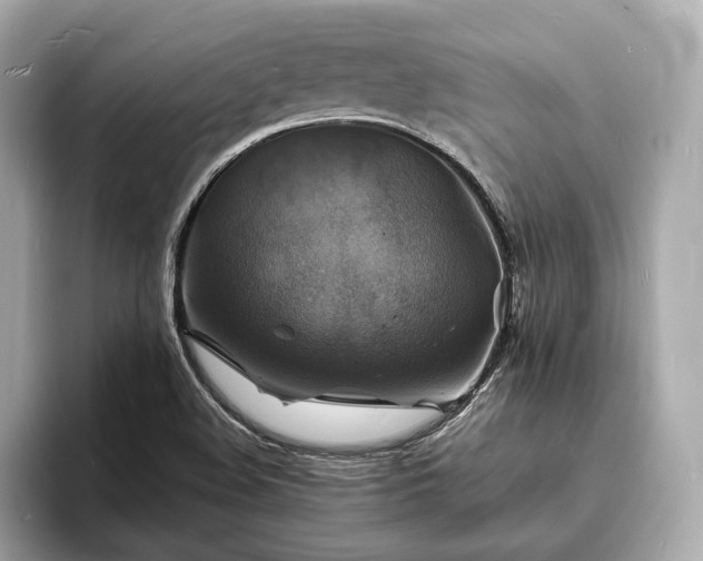 X0000094061508200710261215