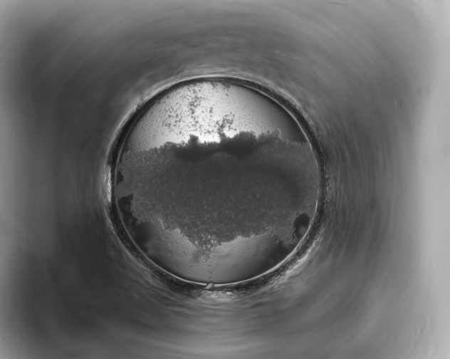 X0000094061509200710261215