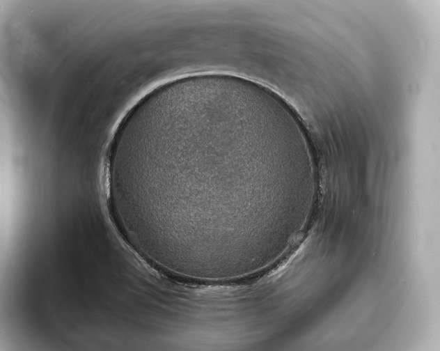 X0000094061510200710261215