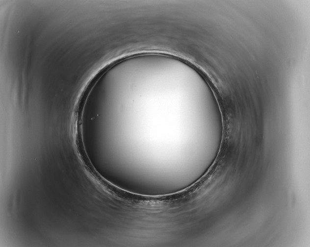 X0000094061511200710261215