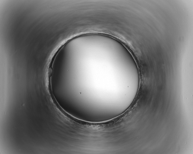 X0000094061512200710261215