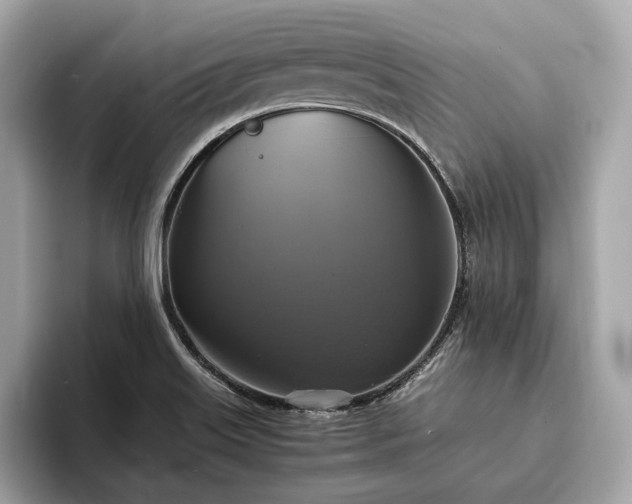 X0000094061515200710261215