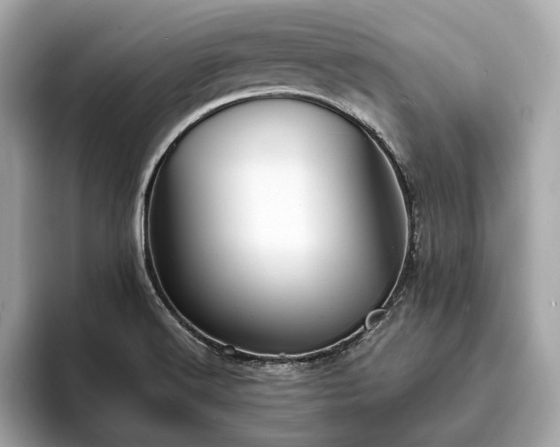 X0000094061516200710261215