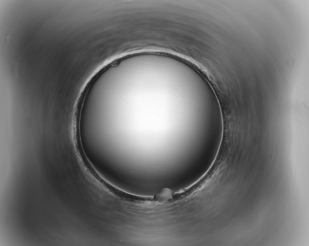 X0000094061518200710261215