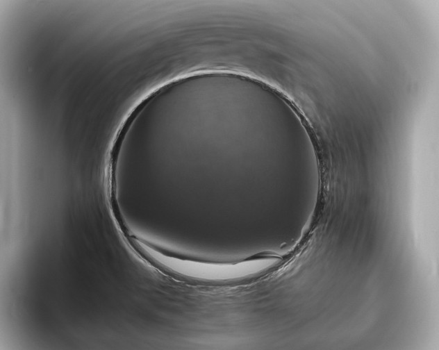 X0000094061519200710261215