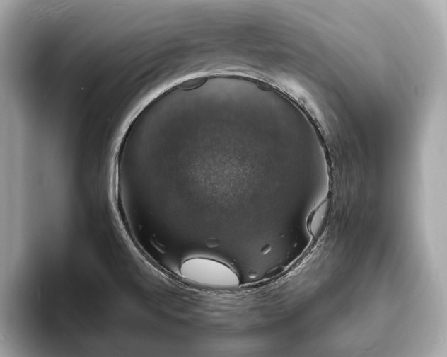 X0000094061520200710261215