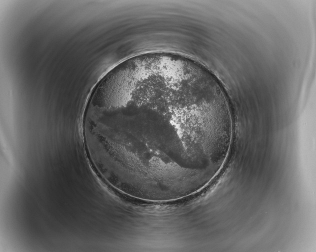 X0000094061521200710261215
