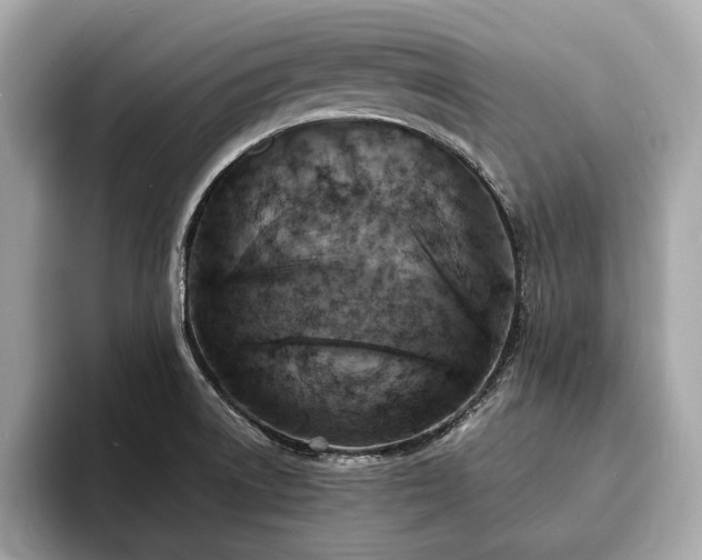X0000094061522200710261215