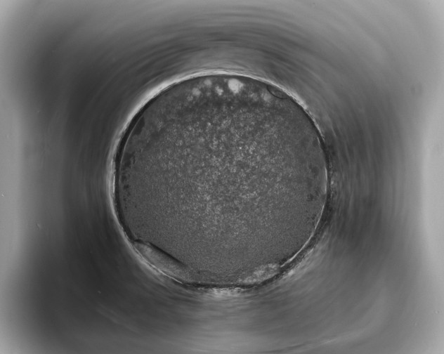 X0000094061523200710261215