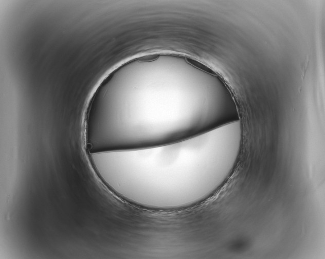 X0000094061524200710261215