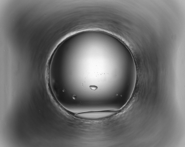 X0000094061526200710261215