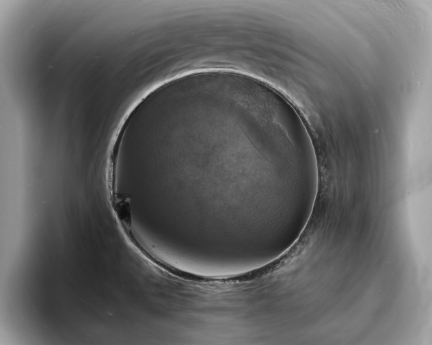 X0000094061527200710261215