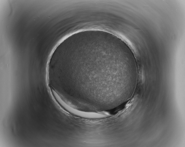 X0000094061528200710261215