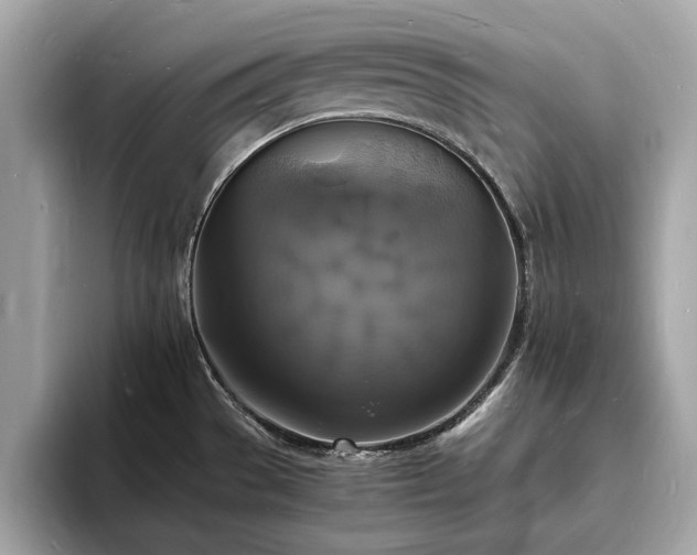 X0000094061529200710261215